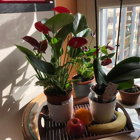 Attico Chez Renee Aosta Apartment Екстериор снимка